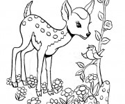 Coloriage Chevreuil parle avec un oiseau