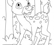 Coloriage Chevreuil trop mignon