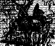 Coloriage Chevreuils dessiné en noir