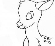Coloriage L'image d'un petit Chevreuil