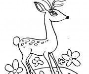 Coloriage Un Chevreuil avec des beaux yeux