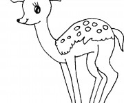 Coloriage Une belle Chevrette