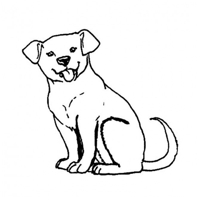 Coloriage Chiens A Imprimer Gratuit