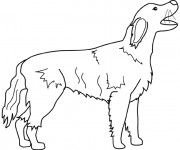 Coloriage Chien aboie
