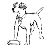 Coloriage Chien attend son repas