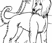Coloriage Chien avec dr&ocirc;le de coiffure