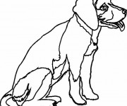 Coloriage Chien calme