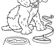 Coloriage et dessins gratuit Chien Caniche à imprimer