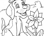 Coloriage et dessins gratuit Chien dans la nature à imprimer