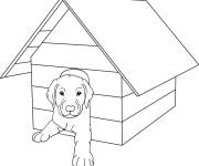 Coloriage Chien dans la niche