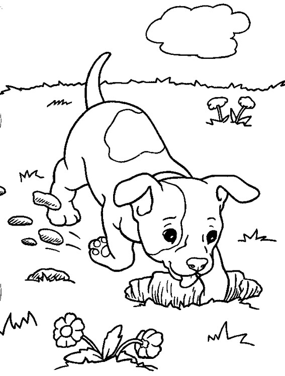 Coloriage Chien Dans Le Jardin Dessin Gratuit à Imprimer