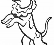 Coloriage Chien de cirque