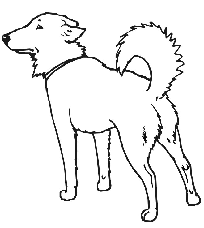Coloriage Chien de garde dessin gratuit à imprimer
