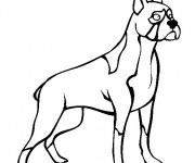 Coloriage Chien de race