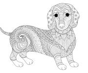 Coloriage Chien difficile