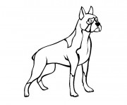Coloriage Chien disciplin&eacute;