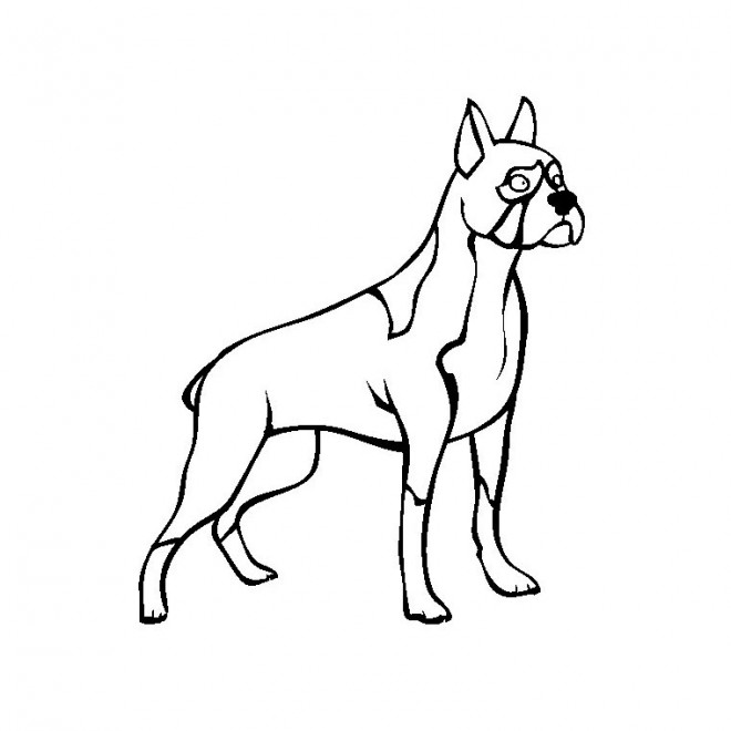 Coloriage Chien discipliné dessin gratuit à imprimer