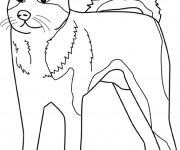 Coloriage Chien en ligne dessin gratuit à imprimer