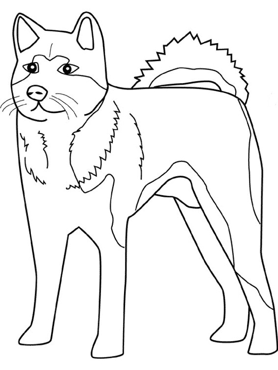 Coloriage Chien en ligne dessin gratuit à imprimer