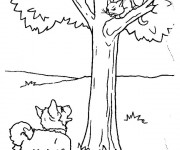 Coloriage Chien et chat