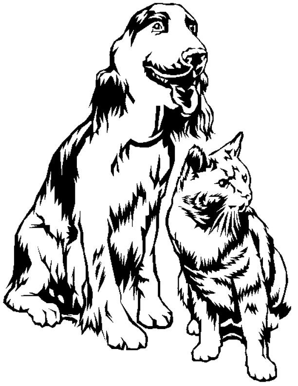 Coloriage Chien Et Chat En Noir Et Blanc Dessin Gratuit à