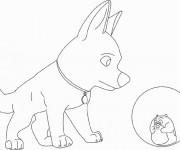 Coloriage Chien et Hamster