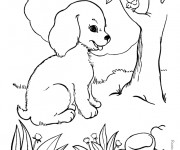 Coloriage et dessins gratuit Chien et oiseau à imprimer