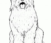 Coloriage Chien g&eacute;ant