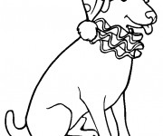 Coloriage Chien portant le bonnet de Noël dessin gratuit à imprimer