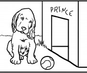 Coloriage Chien Prince