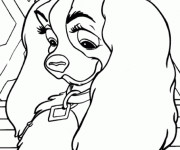 Coloriage Chienne en couleur