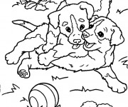 Coloriage Chiots au jardin