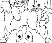 Coloriage Deux chats sur Chien