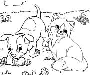 Coloriage Le chien et le chat