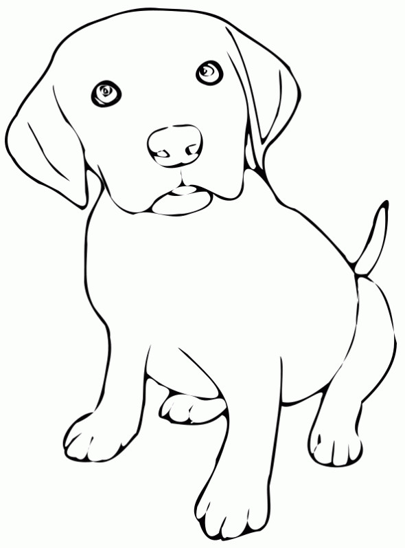 Coloriage Petit Chien Avec Adorables Yeux Dessin Gratuit à