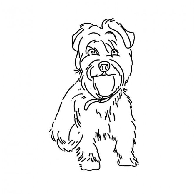 Coloriage Petit Chien Domestique Dessin Gratuit à Imprimer