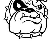 Coloriage T&ecirc;te de Bouledogue