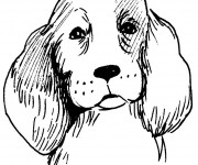 Coloriage Tête de Chien de toute beauté