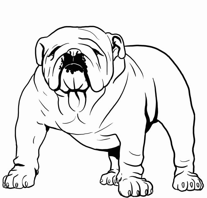 Coloriage et dessins gratuits Un chien Bouledogue à imprimer