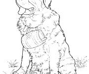 Coloriage Un chien Saint Bernard