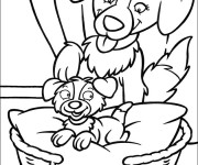 Coloriage Une Chienne et son petit