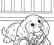 Coloriage et dessins gratuit Chien et chaussure à imprimer