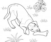 Coloriage Chien et son os au jardin