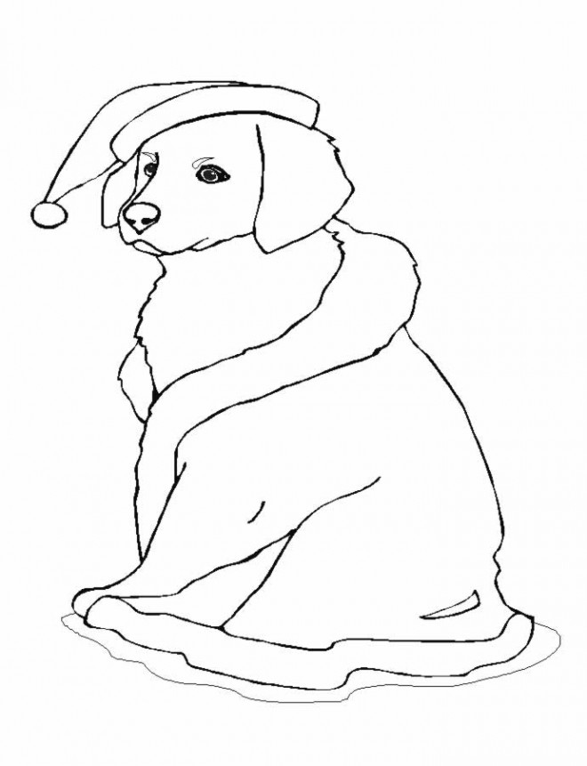 Coloriage Chien Noel Dessin Gratuit à Imprimer