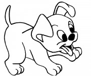 Coloriage De Bebe Chien A Imprimer