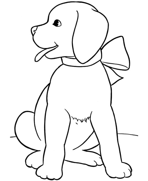Coloriage Chiot 21 Dessin Gratuit A Imprimer Coloriage Chiot 21 Dessin Gratuit A Imprimer