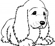 Coloriage et dessins gratuit Chiot en couleur à imprimer