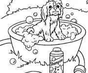 Coloriage Chiot et le bain