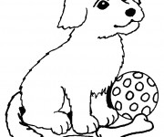 Coloriage Chiot et ses jouets