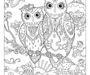 Coloriage Belles Chouettes pour adultes